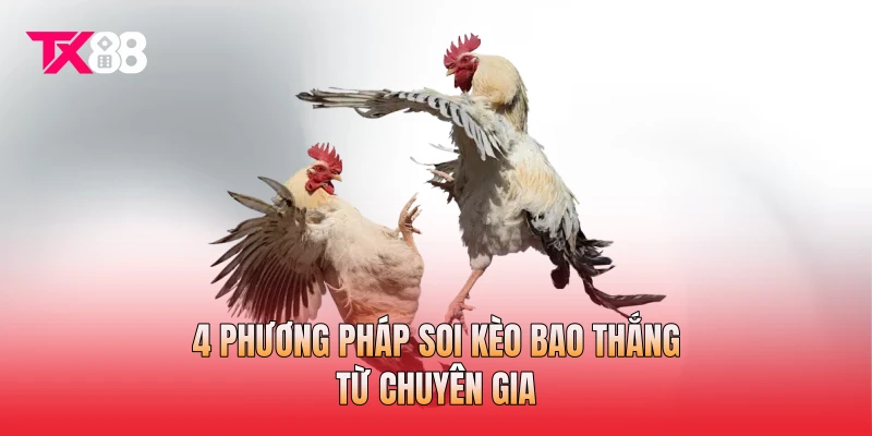 4 phương pháp soi kèo bao thắng từ chuyên gia 4 phương pháp soi kèo bao thắng từ chuyên gia