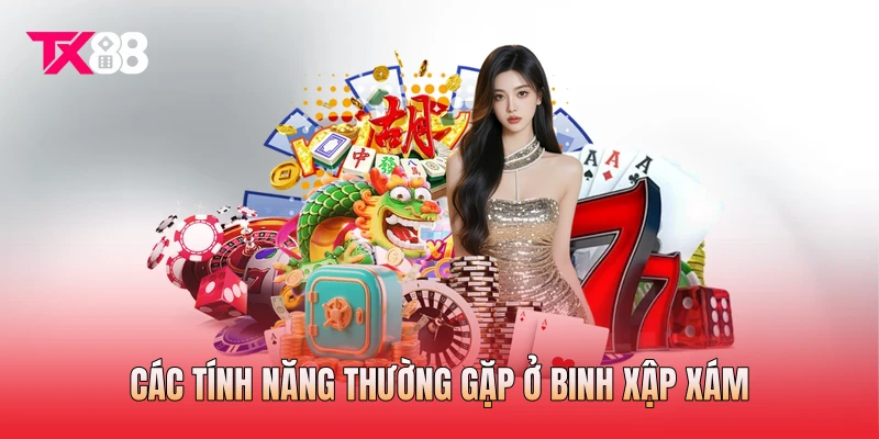 Các tính năng thường gặp ở binh xập xám Các tính năng thường gặp ở binh xập xám