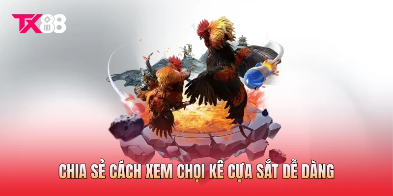 Chia sẻ cách xem chọi kê cựa sắt dễ dàng Chia sẻ cách xem chọi kê cựa sắt dễ dàng
