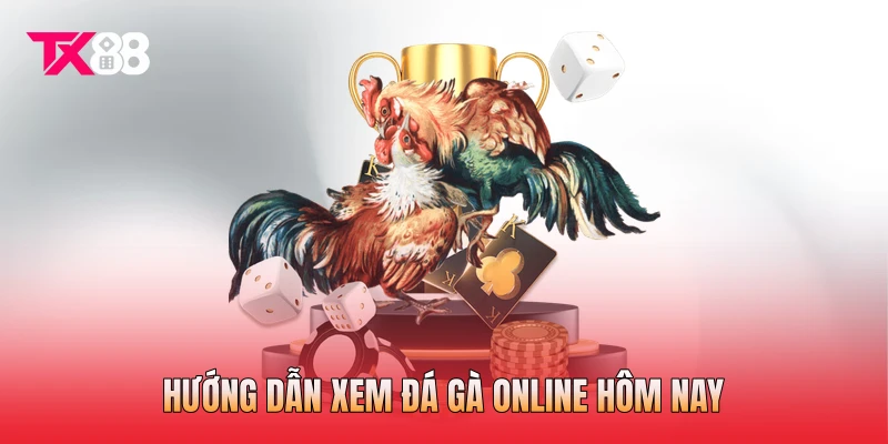 Hướng dẫn xem đá gà online hôm nay