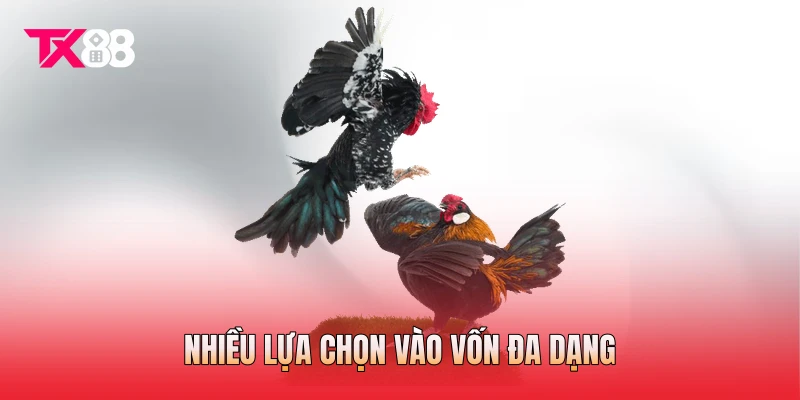 Nhiều lựa chọn vào vốn đa dạng Nhiều lựa chọn vào vốn đa dạng