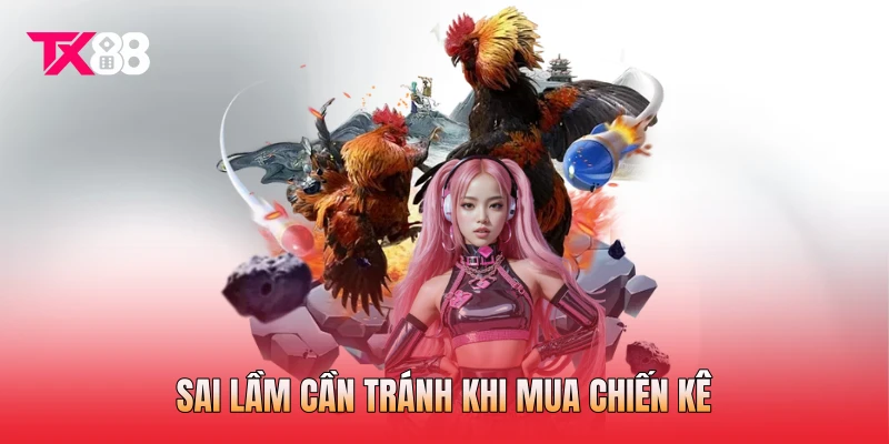 Sai lầm cần tránh khi mua chiến kê Sai lầm cần tránh khi mua chiến kê