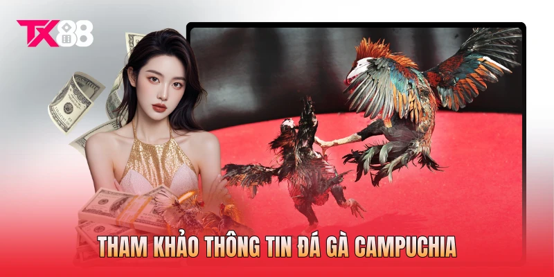 Tham khảo thông tin đá gà Campuchia Tham khảo thông tin đá gà Campuchia