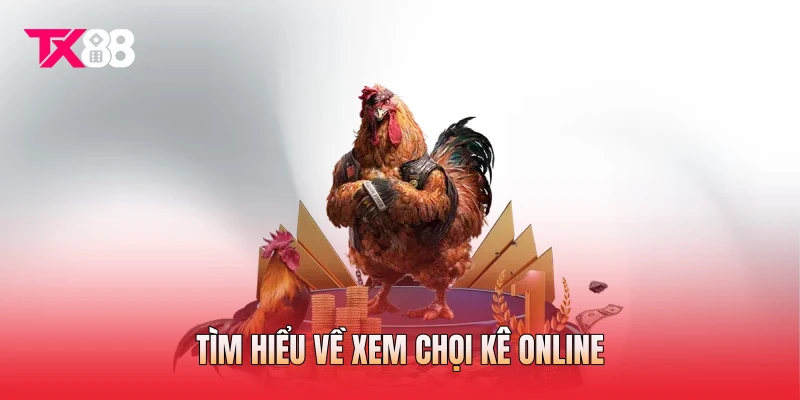 Tìm hiểu về xem chọi kê online